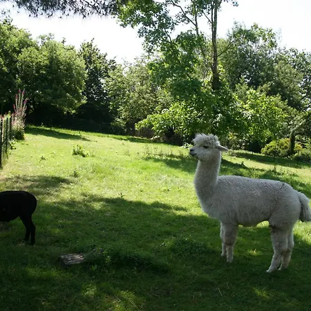 A La Campagne * Basse-Goulaine